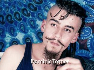 DominicTerrier Zizi X