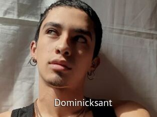 Dominicksant
