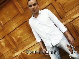 Dominikbunny