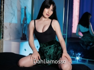 Dahliamosso