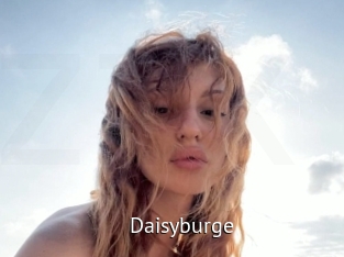 Daisyburge
