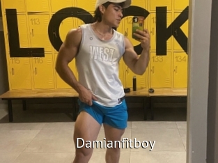 damianfitboy Zizi X