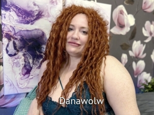 danawolw Zizi X