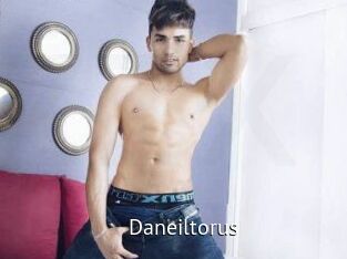 Daneil_torus