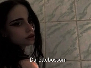 Darellebossom