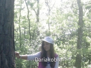 Dariakobra