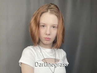 Darlinegrass
