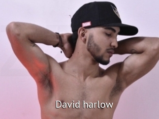 David_harlow