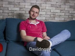 Davidnosy