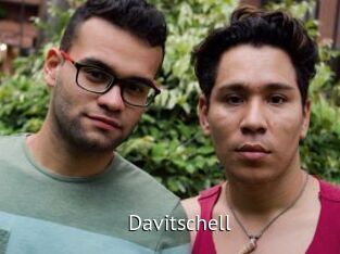 Davitschell