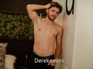 derekevans Zizi X