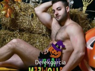 derekgarcia Zizi X
