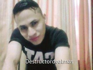 Destructordealmas