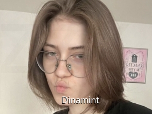 Dinamint