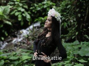 Divinekattie