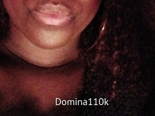 Domina110k