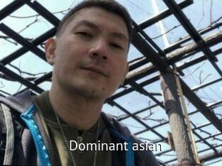 dominant_asian_ Zizi X