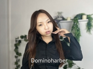 Dominoharber