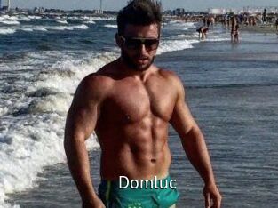 Domluc