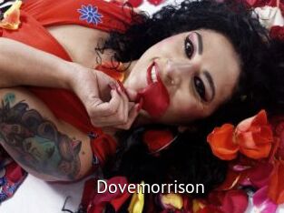 Dovemorrison