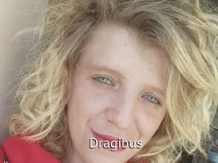 Dragibus