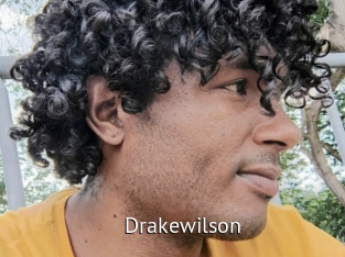 Drakewilson