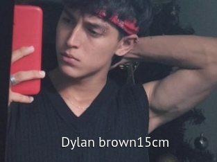 Dylan_brown15cm