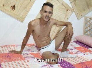 Dylan_north