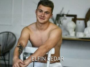 ELFIN_CEDAR