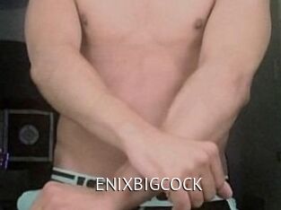 ENIXBIGCOCK Zizi X