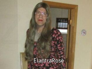 Elantra_Rose Zizi X