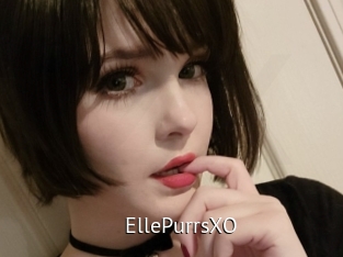 EllePurrsXO