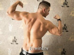 ErwinErv