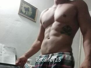Escanor23