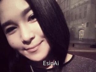 EsinAi