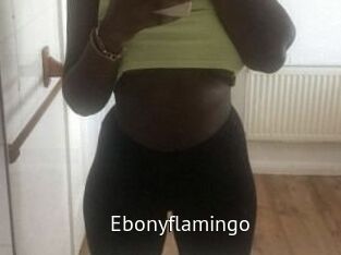 Ebony_flamingo