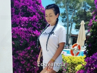 edavanesa Zizi X