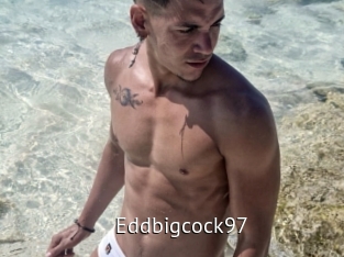 eddbigcock97 Zizi X
