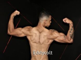 Eddycolt