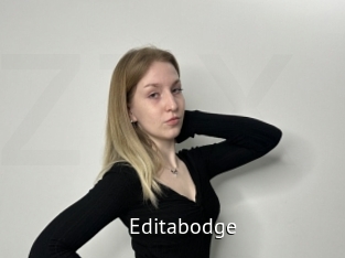 Editabodge