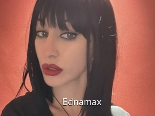 ednamax Zizi X