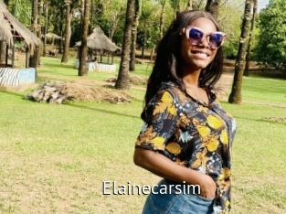 Elainecarsim