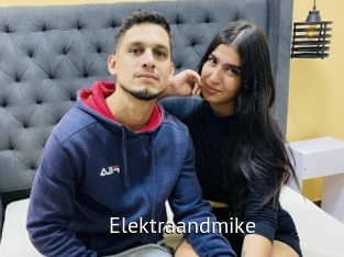 Elektraandmike