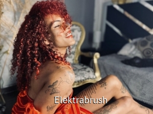 elektrabrush Zizi X