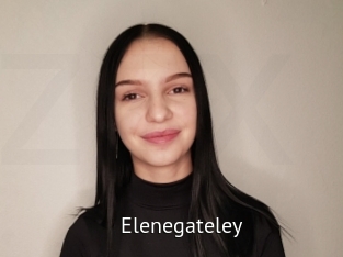 Elenegateley