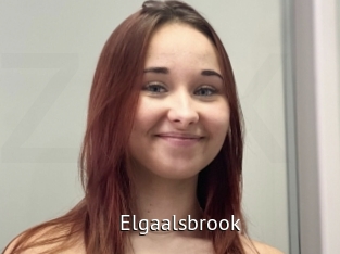 Elgaalsbrook