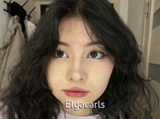 Elgacarls