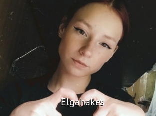Elgahakes