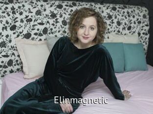 Elinmagnetic