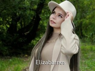 Elizabarnes